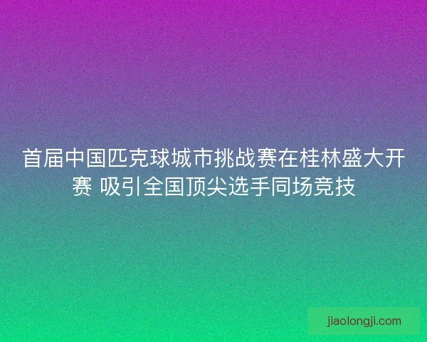 首届中国匹克球城市挑战赛在桂林盛大开赛 吸引全国顶尖选手同场竞技